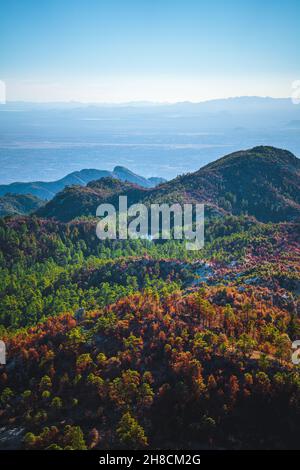 Belle vue sur la forêt nationale de Coronado à Tucson, Arizona Banque D'Images