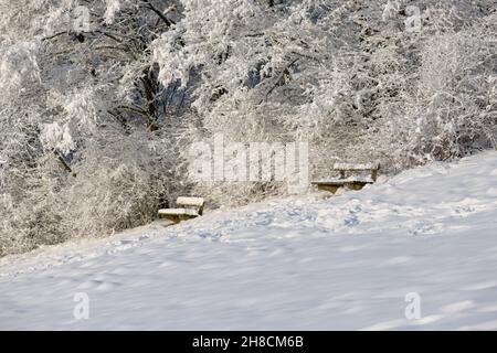 Deux bancs de parc au bord de la forêt avec une épaisse couverture de neige. Banque D'Images