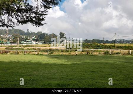 Sri Lanka, province du centre, province Centrale, Nuwara Eliya, Nurelia,La petite Angleterre, ville, Staadt, ville, hippodrome,Pferderennbahn, hippodro Banque D'Images