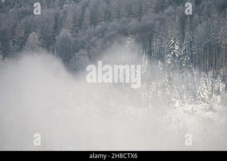 Paysage enneigé près de Gewissenruh, Wesertal, Hesse, Weserbergland, Allemagne Banque D'Images
