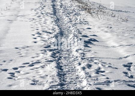 Piste cyclable R1 en hiver, près de Gewissenruh, Wesertal, Weser Uplands, Weserbergland,Hesse, Allemagne Banque D'Images