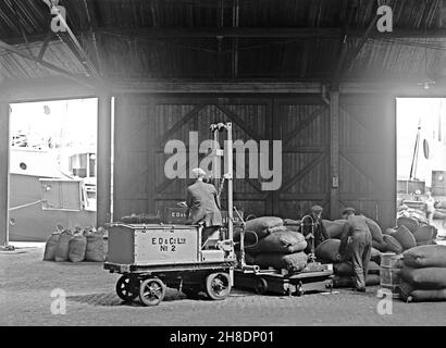 Transport par batterie – ici, un chariot élévateur est utilisé pour soulever des sacs sur une machine de pesage mobile chez E D and Co Ltd, une société d'expédition et d'entreposage à Liverpool Docks, Lancashire, Angleterre, Royaume-Uni dans les premières années du XXe siècle.Dans les premières années du transport automobile les véhicules électriques étaient une bonne option par rapport à ceux à essence pour le transport commercial sur de courtes distances, comme le déplacement de marchandises dans les usines.Cette photo est tirée d'un vieux négatif en verre original – une photographie vintage du XXe siècle. Banque D'Images