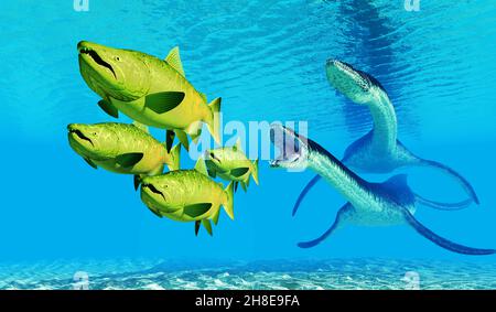 Les poissons du saumon atlantique fuient les reptiles prédatrices du Plesiosaurus qui les chassent Banque D'Images