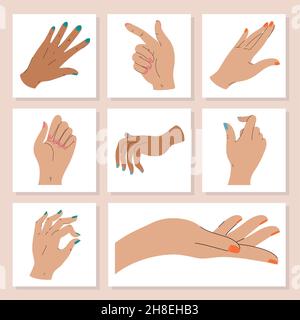 mains pour femmes avec ongles peints Illustration de Vecteur