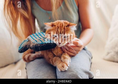 Brosser le chat avec un gant pour enlever les poils d'animaux de compagnie. Femme prenant soin de l'animal le combater avec gants en caoutchouc à la main à la maison Banque D'Images