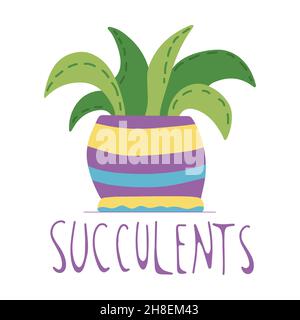 Succulent dessiné à la main dans un pot en céramique coloré, style doodle, isolé sur un fond blanc. Illustration de Vecteur