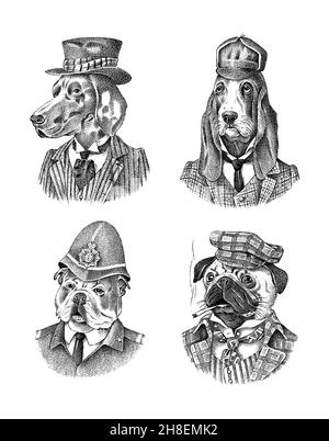 Bloodrier et pointeur court allemand.Le chien PUG fume un cigare.Bulldog anglais en costume de police.Personnage animal mode dans les vêtements.Dessiné à la main Illustration de Vecteur