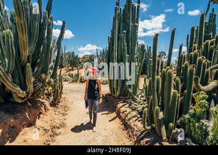 Femme marchant parmi les cactus dans le désert ensoleillé, Australie Banque D'Images