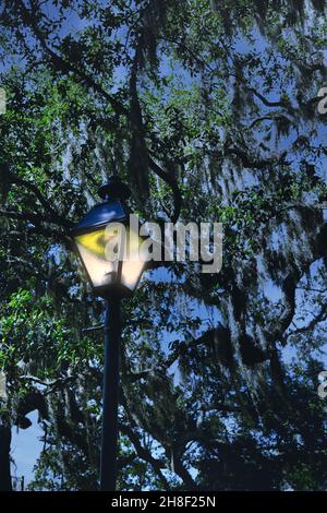 Lampe de rue à l'ancienne dans le parc Banque D'Images