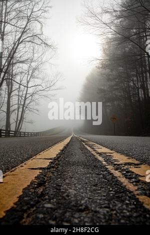 Foggy Country Road près de Dupont State Recreational Forest - Sky Valley Road, Hendersonville, Caroline du Nord, États-Unis Banque D'Images