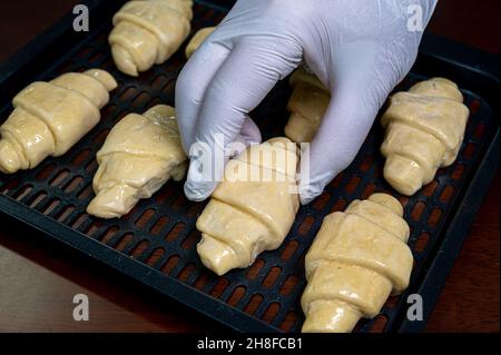 Croissants faits maison.La pâte à croissant est disposée dans un four pour la mettre dans le four. Banque D'Images