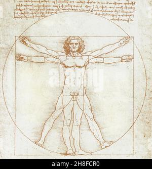 LÉONARD DE VINCI. VETRUVIAN MAN. Banque D'Images