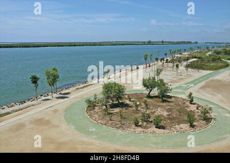 Embouchure de l'Èbre dans la région de Baix Ebre province de Tarragone, Catalogne, Espagne Banque D'Images