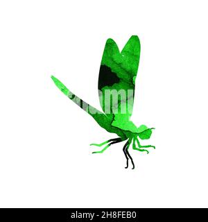 Illustration aquarelle d'une libellule verte abstraite avec des rayures peintes.Joli imprimé insectes amusant.Un insecte ailé avec de grands yeux.Isolé sur merde Banque D'Images