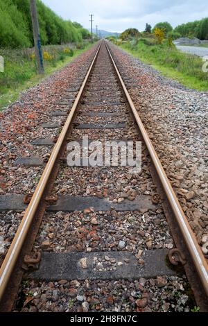 Ligne de chemin de fer droite près de Moana, Westland, South Island, Nouvelle-Zélande Banque D'Images