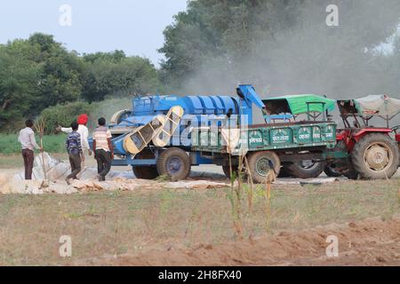 Un ouvrier indien exploitant des semences de guar (haricots en grappes) du champ à l'aide d'une machine et les ramassant dans un chariot à tracteur Banque D'Images