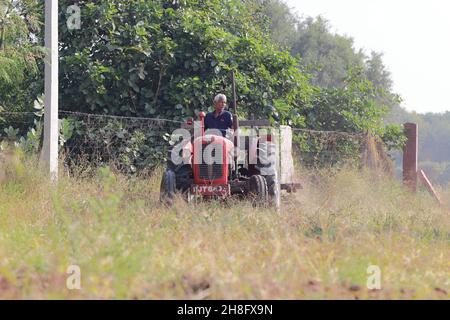 Un ouvrier agricole indien labourant le champ avec l'aide d'une charrue de tracteur Banque D'Images