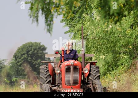 Un agriculteur indien âgé labourant le champ avec l'aide d'une charrue de tracteur Banque D'Images