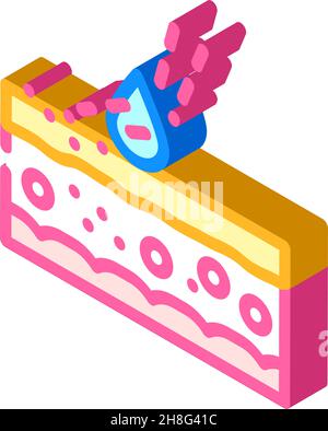 phytophotodermatite problème de peau icône isométrique illustration du vecteur Illustration de Vecteur