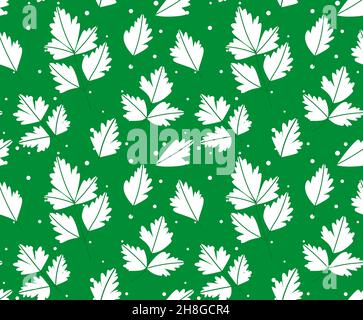 Motif sans couture avec feuilles de persil. Sur fond blanc. Illustration vectorielle eps 10 Illustration de Vecteur