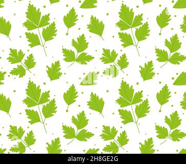 Motif sans couture avec feuilles de persil. Sur fond blanc. Illustration vectorielle eps 10 Illustration de Vecteur