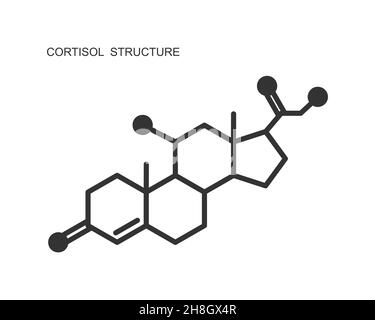 Icône d'hormone de cortisol.Structure moléculaire de l'hydrocortisone isolée sur fond blanc.Illustration graphique vectorielle. Illustration de Vecteur