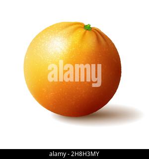 Orange entier et tranches d'oranges.Illustration vectorielle des oranges.Conception plate Illustration de Vecteur