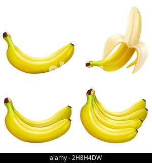 Ensemble de bananes d'illustration réalistes de vecteur 3d.Banane, banane à moitié pelée, bouquet de bananes isolées sur fond blanc, icône de banane Illustration de Vecteur