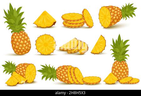 Ensemble ananas.Collection ananas.Ananas entier et tranché isolés sur fond blanc avec passe-cheveux Illustration de Vecteur