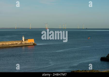 Aberdeen, Écosse, Royaume-Uni, 10 novembre 2021.Estuaire, baie et moulins à vent d'Aberdeen. Banque D'Images