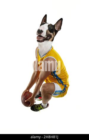 Œuvres d'art contemporaines, collage conceptuel.Jeune homme, joueur professionnel de basket-ball dirigé par la tête de chien.Surréalisme Banque D'Images