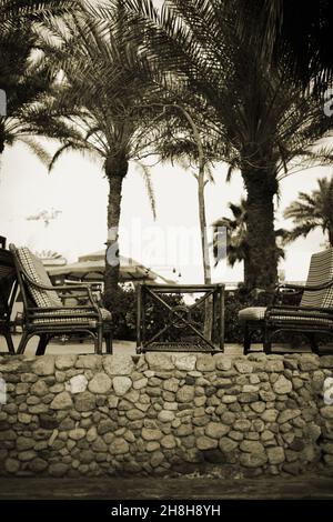 Table basse en osier et fauteuils sur le patio en pierre entouré de palmiers. Banque D'Images