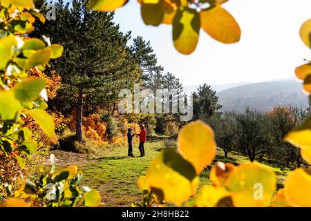 Mère et enfant sur un pré sous les pins et les feuilles d'automne faisant un cadre au premier plan Banque D'Images