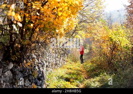 Femme en anorak rouge sur un sentier de randonnée, mur de pierre et feuilles d'automne accrochés aux arbres Banque D'Images