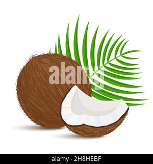 Noix de coco entière avec morceau et feuilles de palmier sur fond blanc.Illustration vectorielle.Conception plate Illustration de Vecteur
