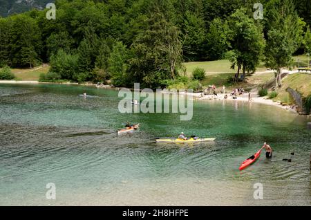 Plage et sports nautiques Lac Bohinj Alpes juliennes Slovénie Banque D'Images