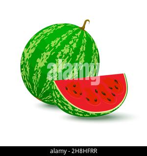 Vecteur pastèque.Illustration vectorielle de la tranche de pastèque entière et juteuse en forme de méplat isolée sur fond blanc. Illustration de Vecteur