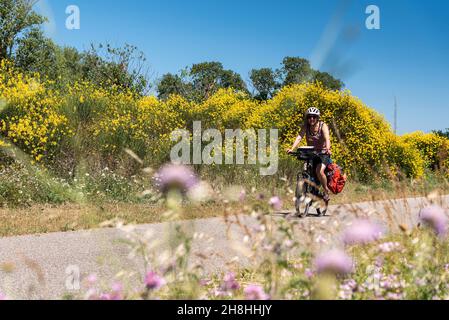 France, Ardeche, ViaRôna, Viviers, cycliste en direction de Viviers Banque D'Images