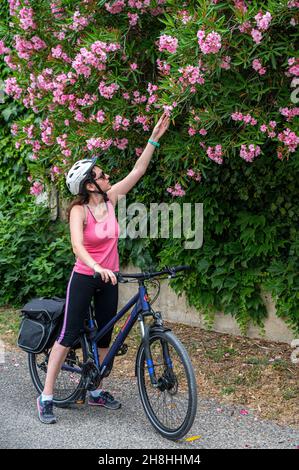 France, Ardèche, ViaRôna, Viviers, cycliste posant sur la ViaRôna entre Viviers et Bourg-Saint-Andéol Banque D'Images