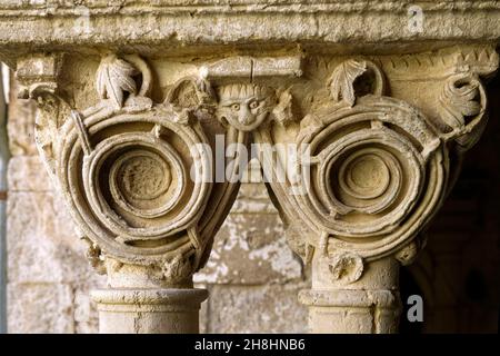 France, Bouches du Rhône, Parc naturel régional des Alpilles, Saint Rémy de Provence, Monastère Saint Paul de Mausole où Van Gogh vécut en 1889-1890, le cloître Banque D'Images