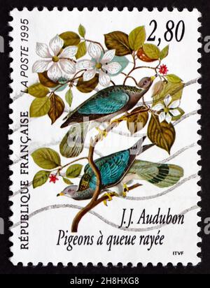 FRANCE - VERS 1995 : un timbre imprimé en France montre le Pigeon à queue de bande, Patagioenas fasciata, Bird, John J. Audubon, vers 1995 Banque D'Images