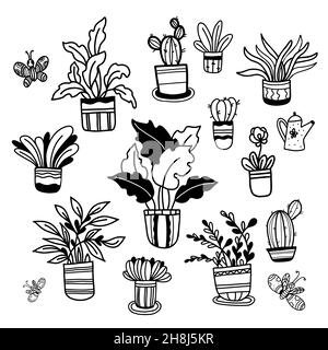 Grand ensemble de fleurs dessinées à la main dans des pots illustrations, plantes de maison, cactus et papillons dans le style Doodle.Illustration vectorielle.Main à contour isolé dr Illustration de Vecteur