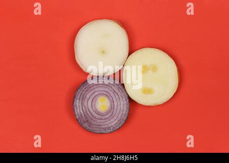 Trois tranches d'oignon de différentes couleurs (rouge, jaune et blanc) isolées sur fond rouge.Photo haute résolution.Profondeur de champ complète. Banque D'Images