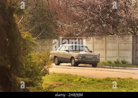 Chernihiv, Ukraine - 10 avril 2019 : Volga, une vieille voiture, au printemps, sur fond d'arbres à fleurs Banque D'Images