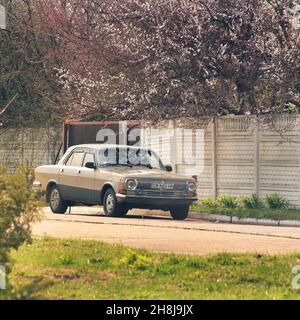 Chernihiv, Ukraine - 10 avril 2019 : Volga, une vieille voiture, au printemps, sur fond d'arbres à fleurs Banque D'Images