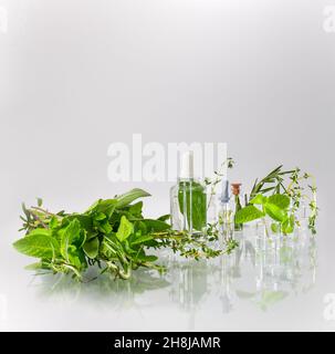 Herbes médicinales épicées et flacons de flacons avec distributeurs de pipettes.Préparation et recherche de formules médicinales. Banque D'Images