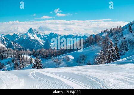 Sur le mont Zoncolan, les alpes carniques après une grosse chute de neige. Province d'Udine, région de Friuli-Venezia Giulia, Italie Banque D'Images