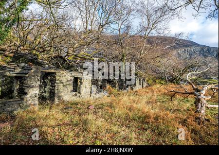 Il s'agit de quelques-unes des maisons de mineurs de la carrière d'ardoise Dinorwic abandonnée près du village gallois de Llanberis, dans le parc national de Snowdonia Banque D'Images