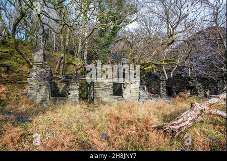 Il s'agit de quelques-unes des maisons de mineurs de la carrière d'ardoise Dinorwic abandonnée près du village gallois de Llanberis, dans le parc national de Snowdonia Banque D'Images