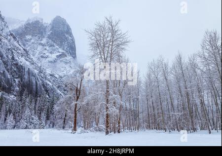 Une nouvelle couverture de neige fraîche couvre la vallée de Yosemite à Cook Meadow après une tempête de nuit, parc national de Yosemite, Californie, États-Unis. Banque D'Images